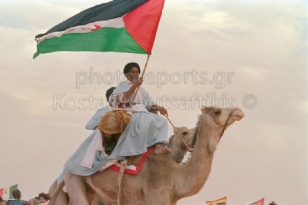 Σαχάρα Πολισάριο  Μαρόκο έρημος καμήλες τουαρέγκ